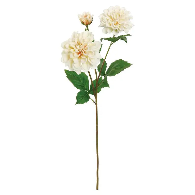 DAHLIA STEM WITH BUD [IVORY/BLUSH]