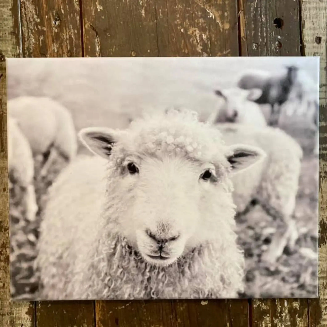 SHEEP CANVAS SIGN