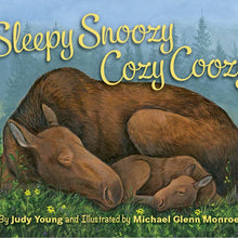 Load image into Gallery viewer, SLEEPY SNOOZY COZY COOZY CHILDRENS BOOK
