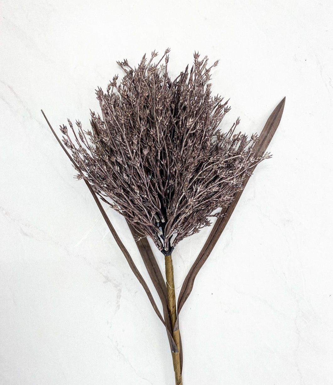 MAUVE REED STEM [LOCAL PICKUP ONLY]