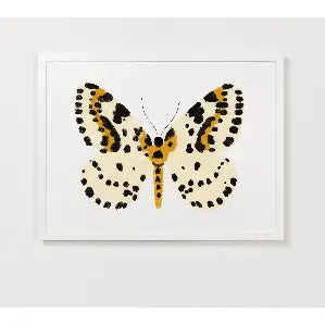 YELLOW BUTTERFLY FRAMED PRINT