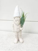 Load image into Gallery viewer, CONCRETE GNOME WITH FAUX GREENS
