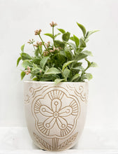 Load image into Gallery viewer, CREAM FLORAL PRINTED POT
